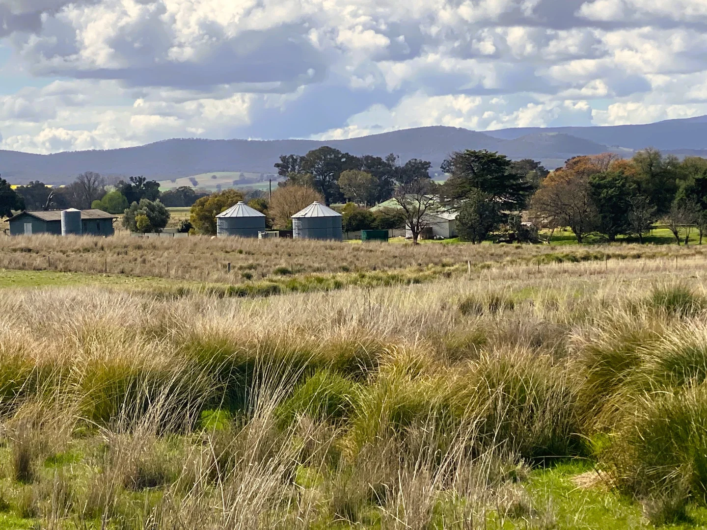 Additional image 16 of "Glenroy" 165 Bald Hills Road, Grenfell NSW 2810