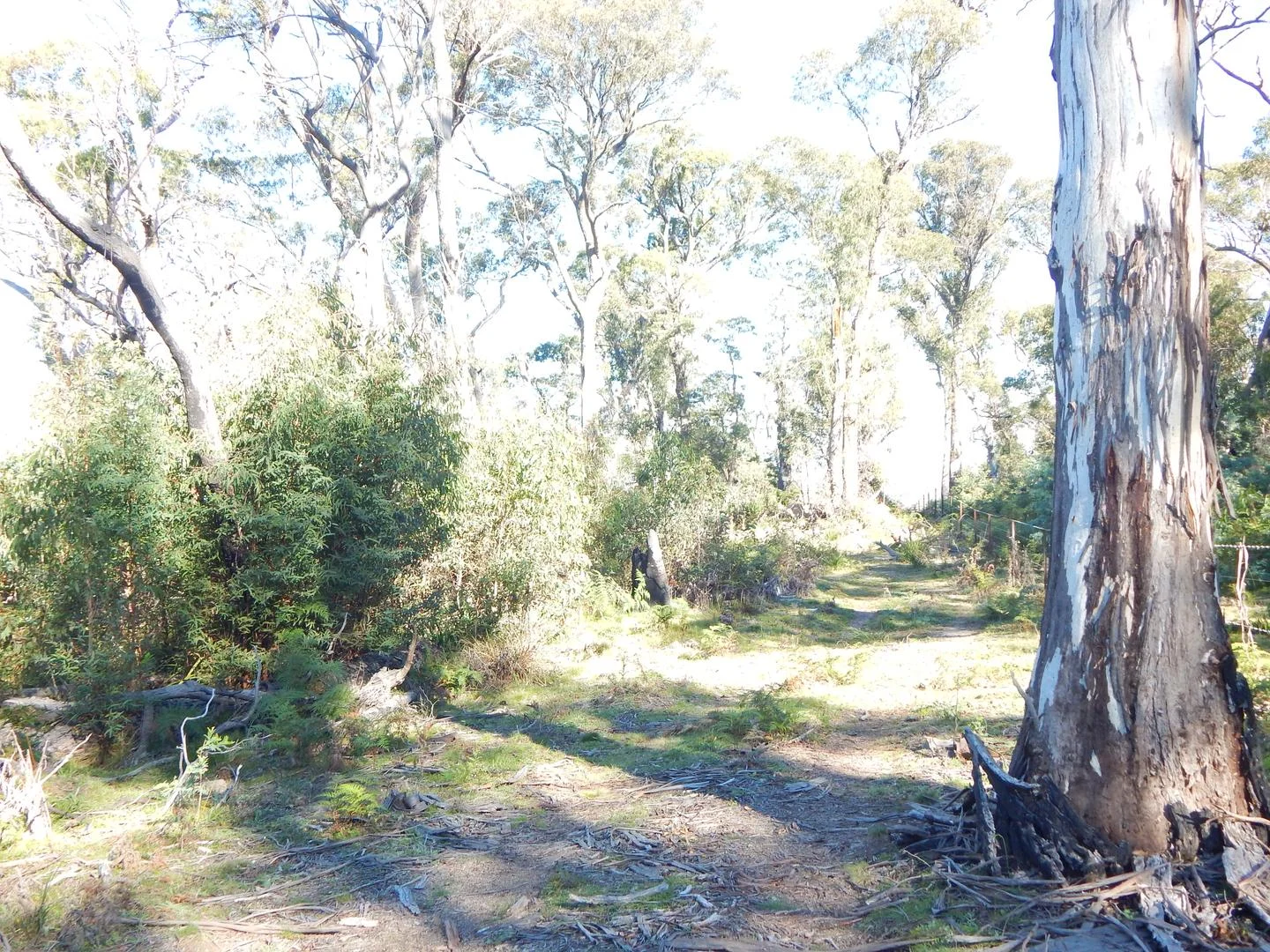 Additional image 12 of Lot 102 Badja Road, Countegany NSW 2630