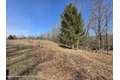 Additional image 16 of Timber Dr Lot 10, Cochecton, NY, 12726
