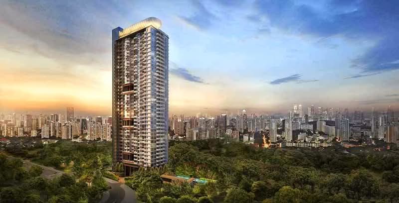 Additional image 85 of 45 Jervois Road