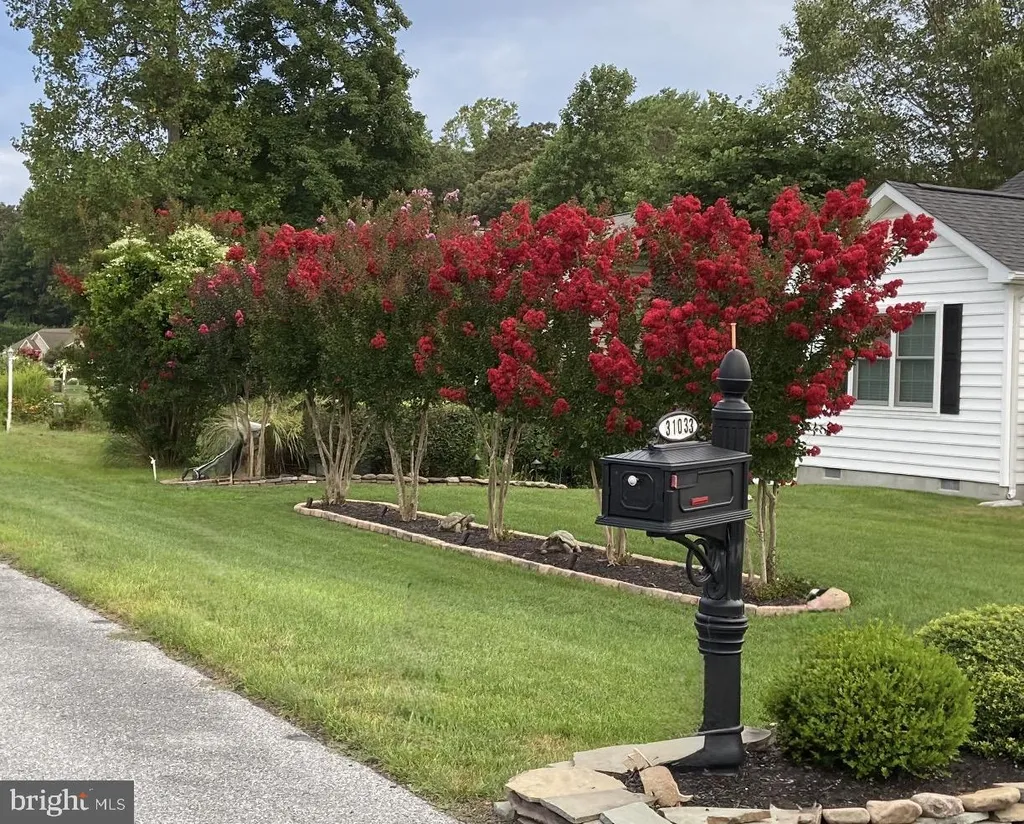 Additional image 8 of 31033 Meadow Drive, Lewes, DE 19958