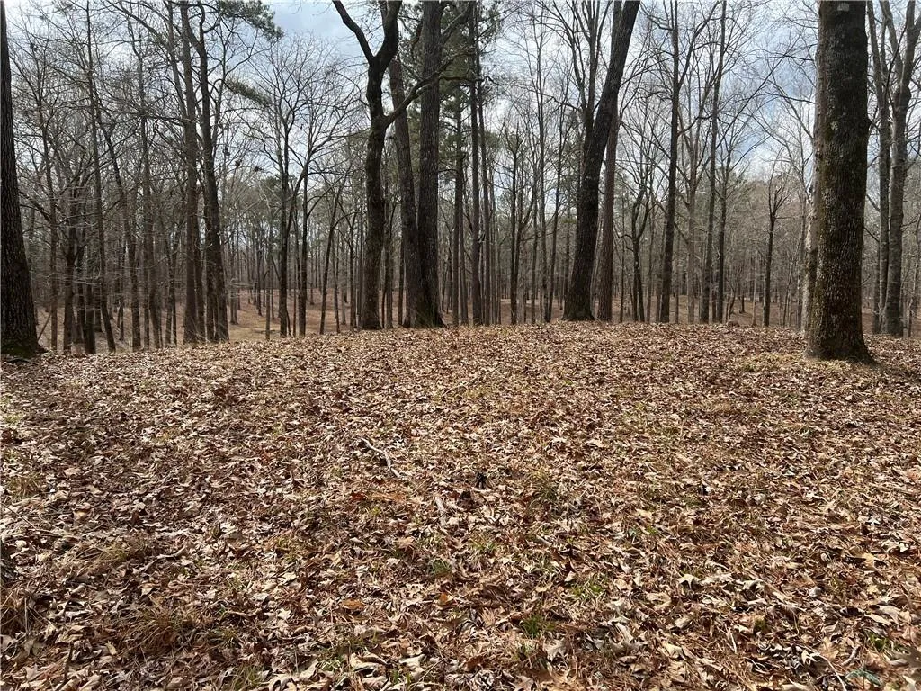 Additional image 10 of Preswick Drive Road, Phenix City, AL 36867