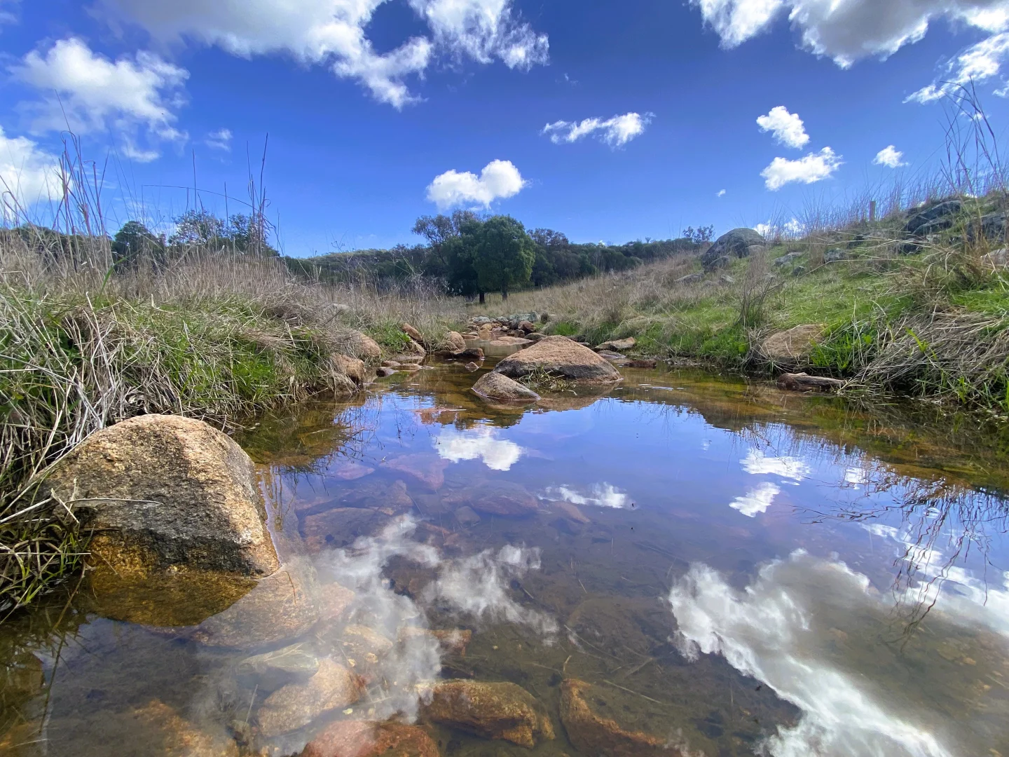 Additional image 14 of "Glenroy" 165 Bald Hills Road, Grenfell NSW 2810