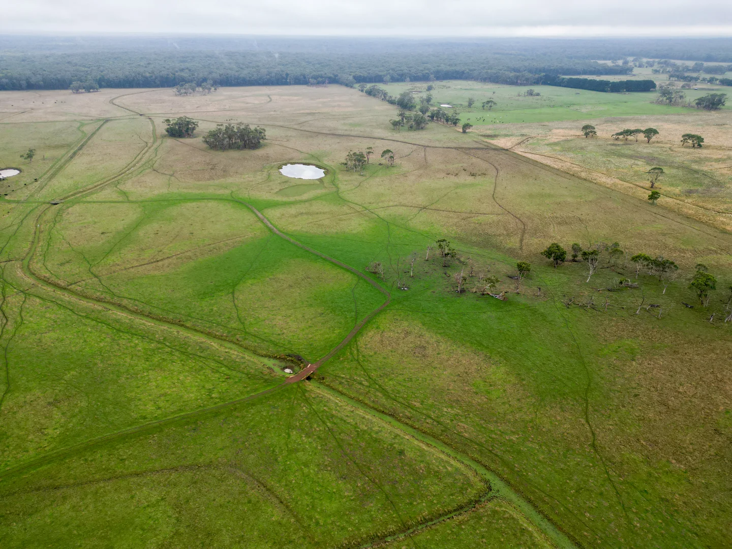 Additional image 2 of 61 Kennys Lane, Gorae West VIC 3305