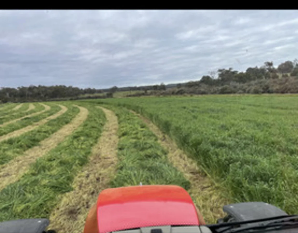 Additional image 5 of 1 Hopkins Road, Chapman Hill WA 6280