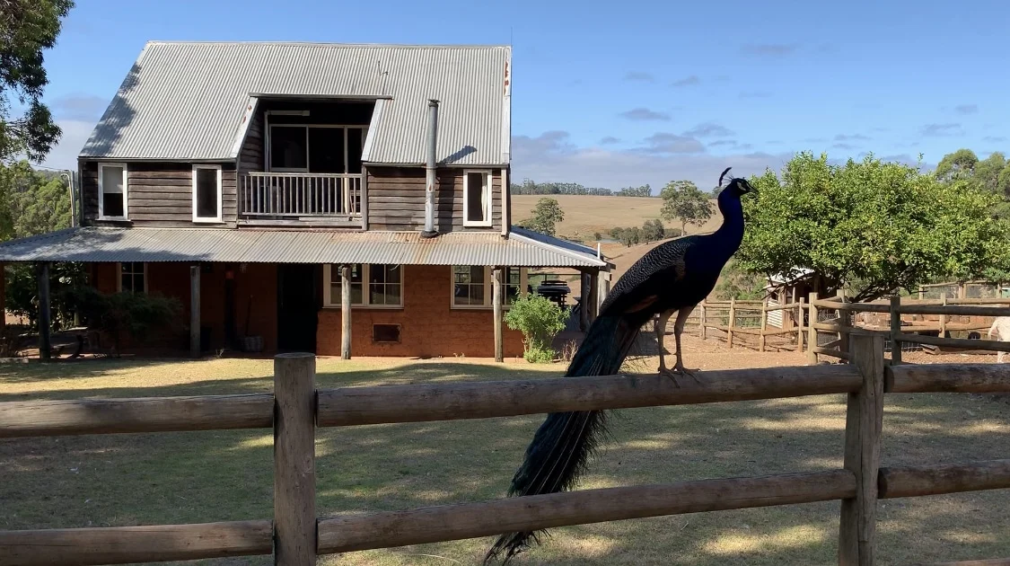 Additional image 6 of 129 Pump Hill Road, Channybearup WA 6260