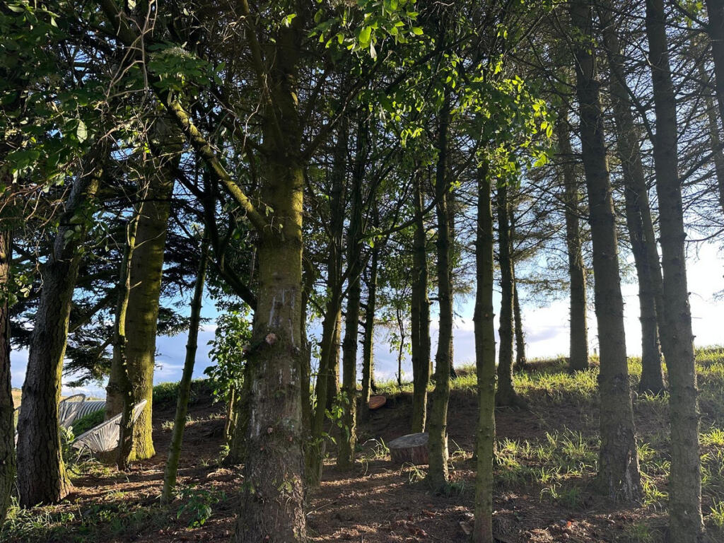 Additional image 34 of Cross Slacks, Banff, AB45