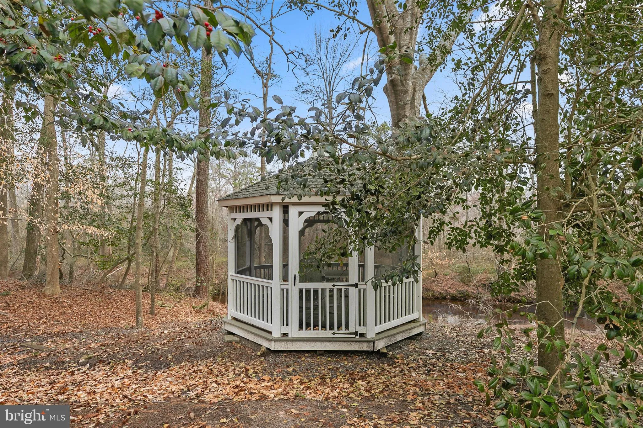 Additional image 154 of 31915 Elizabeth Drive, Dagsboro, DE 19939