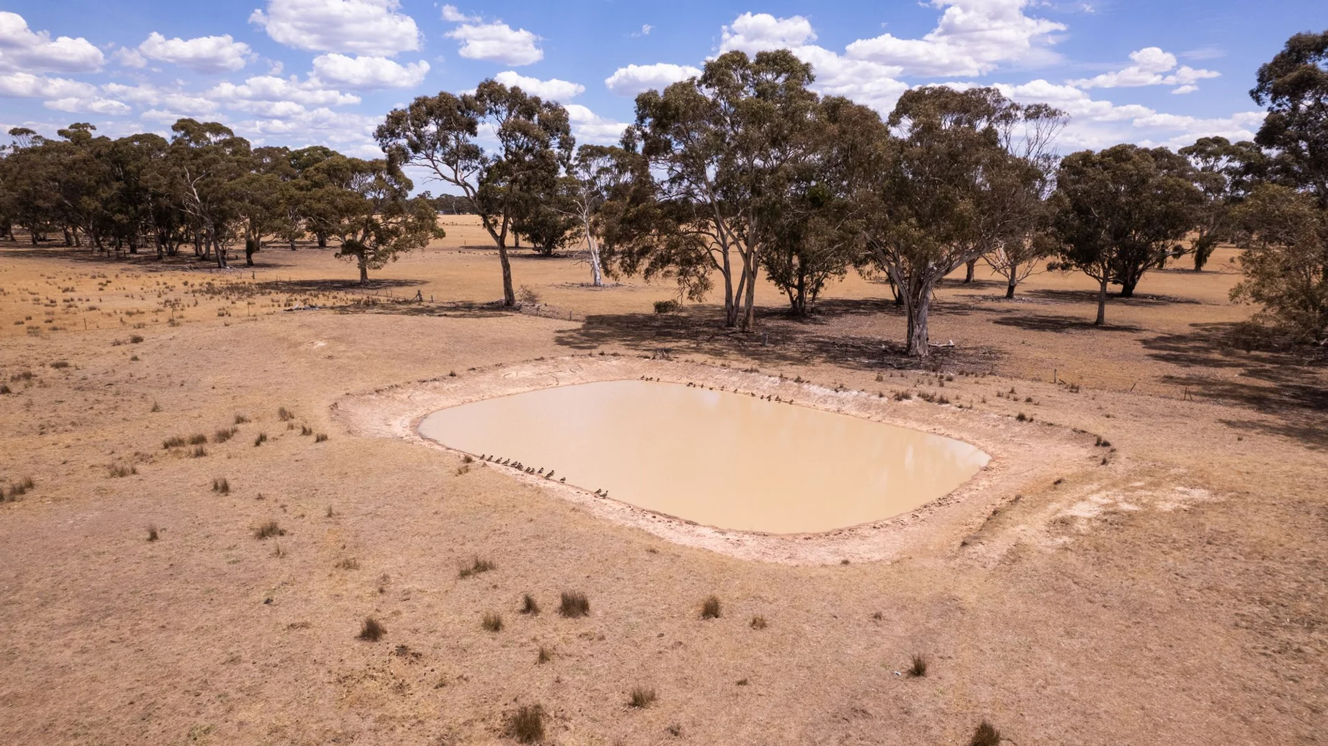 Additional image 12 of Lot 2 Patricias Road, Edenhope VIC 3318