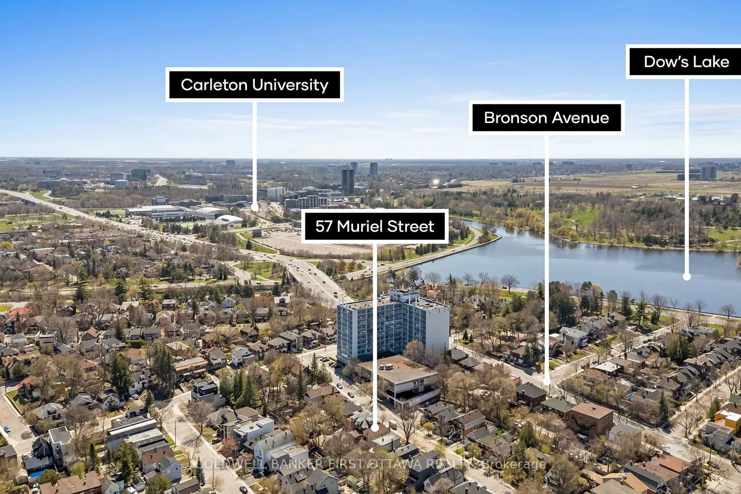 Additional image 6 of 57 Muriel Street