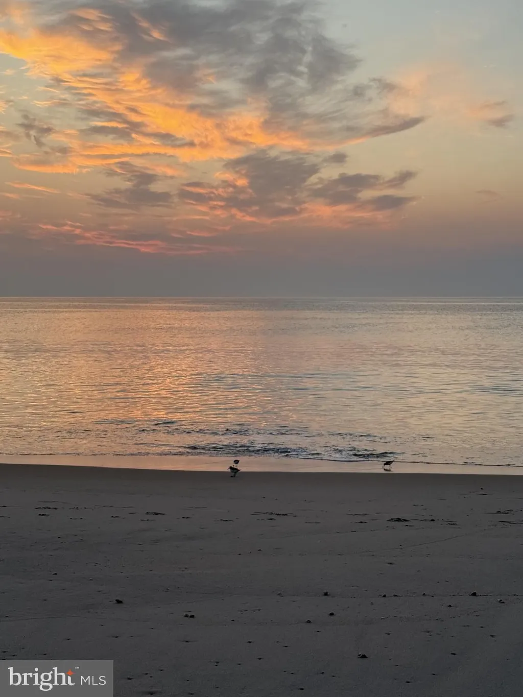 20994 Dodd Avenue, Rehoboth Beach, DE 19971