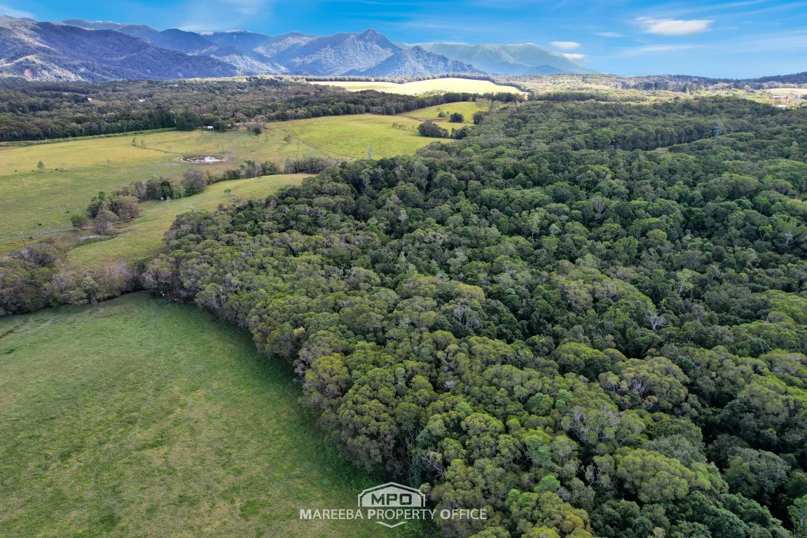 Additional image 17 of 1181 Mossman-Mount Molloy Road, Julatten QLD 4871