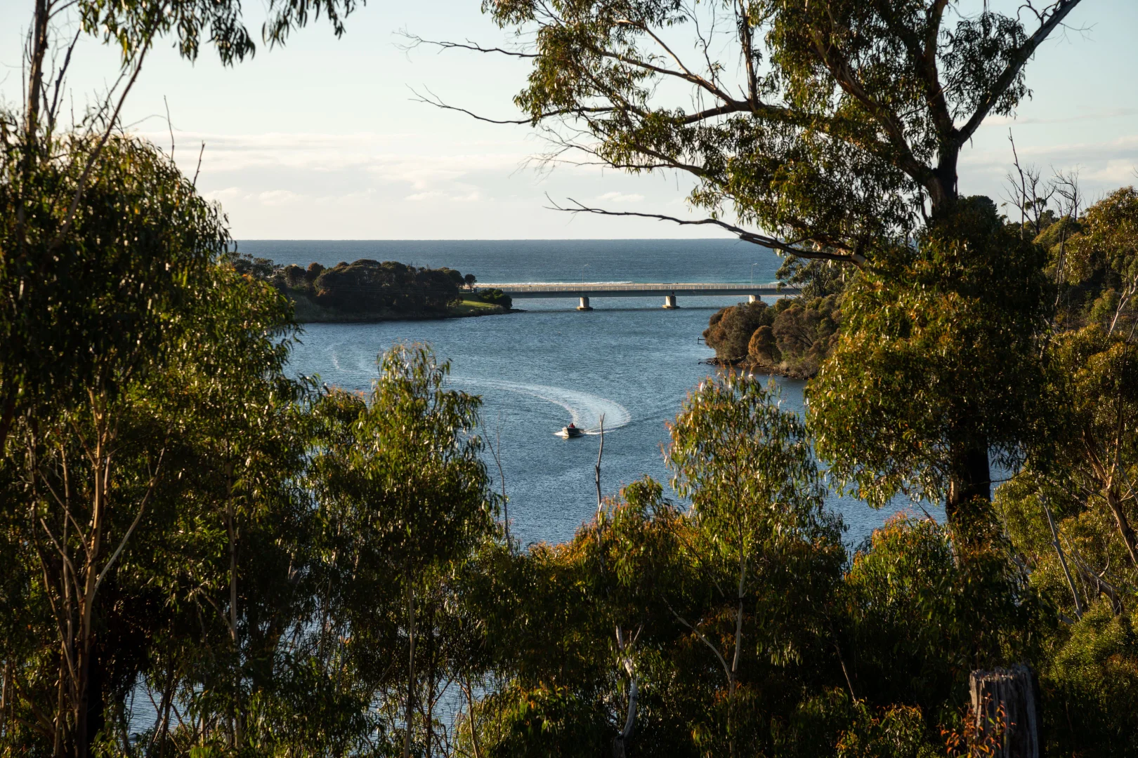 Additional image 34 of 141 Riverview Road, Scamander TAS 7215