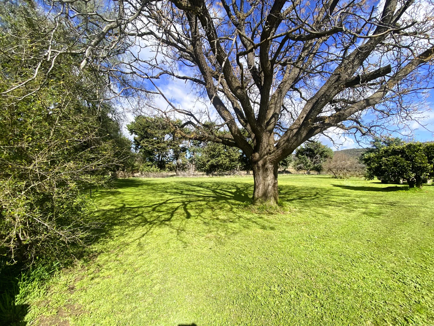 Additional image 7 of "Glenroy" 165 Bald Hills Road, Grenfell NSW 2810