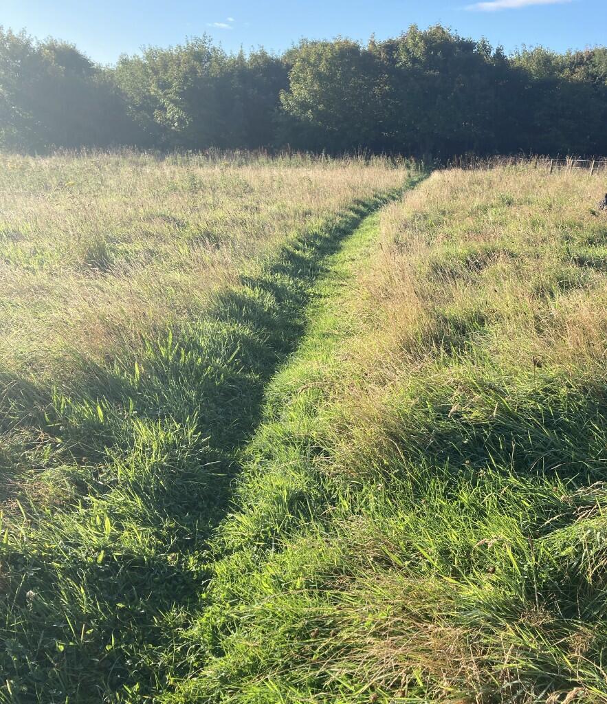 Additional image 29 of AB43