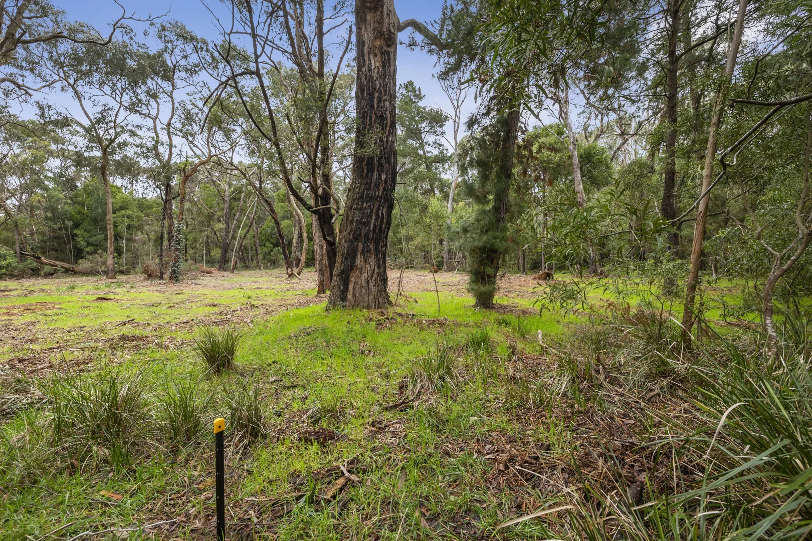 Additional image 2 of 4/5 Mahers Road, Barwon Downs VIC 3243