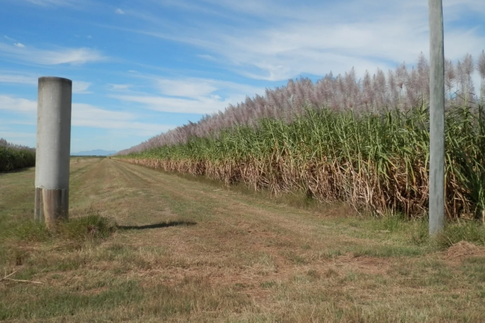 Additional image 22 of 52 Linton Road, Fredericksfield QLD 4806