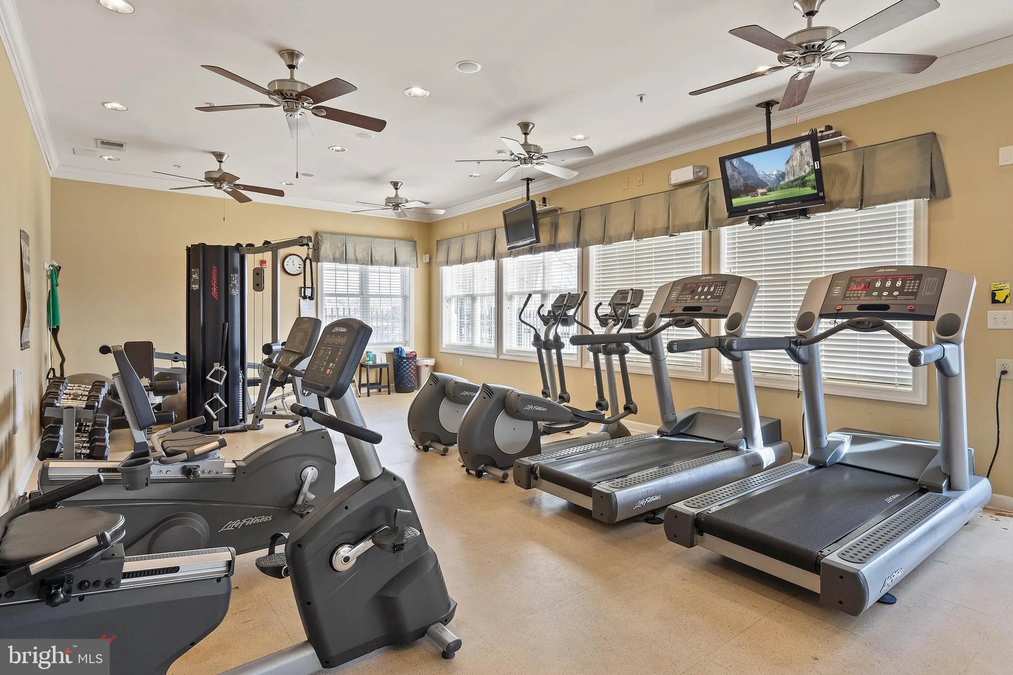 Additional image 119 of 31716 Grenache Court Unit 60, Lewes, DE 19958