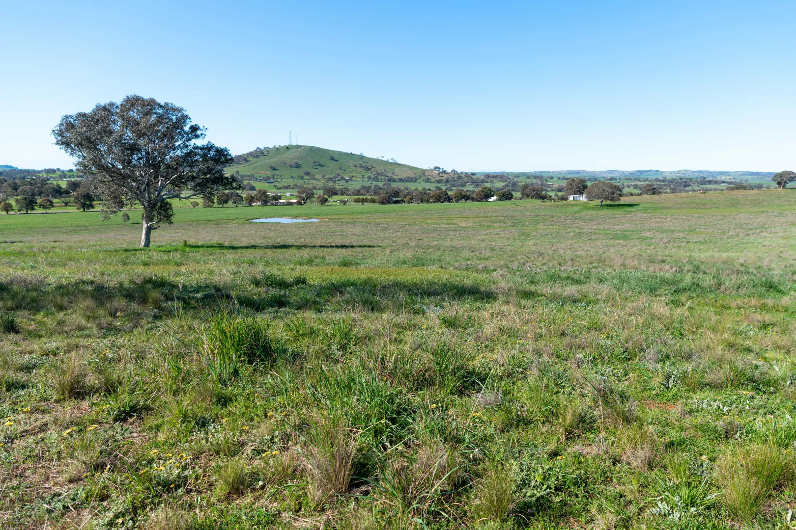 Additional image 9 of Lot 15 Long Street, Boorowa NSW 2586