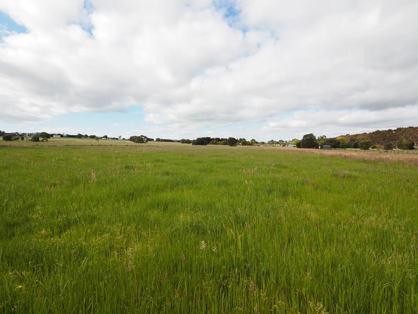 Additional image 9 of 4 Christopher Court, Lismore VIC 3324