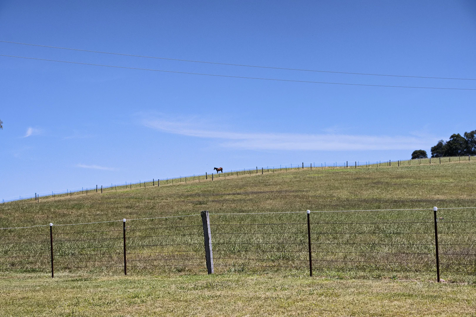 Additional image 40 of 1 New England Highway, Wingen NSW 2337