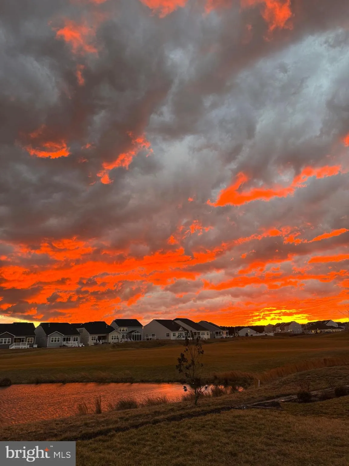 Additional image 135 of 33256 Claremont Court, Millsboro, DE 19966