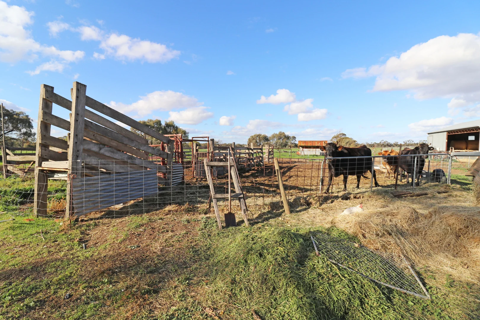 Additional image 20 of 131 West Road, Kerang VIC 3579