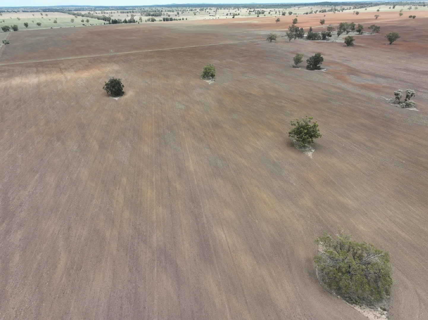 Additional image 7 of 'Weemala' 2075 The McGrane Way, Tullamore NSW 2874