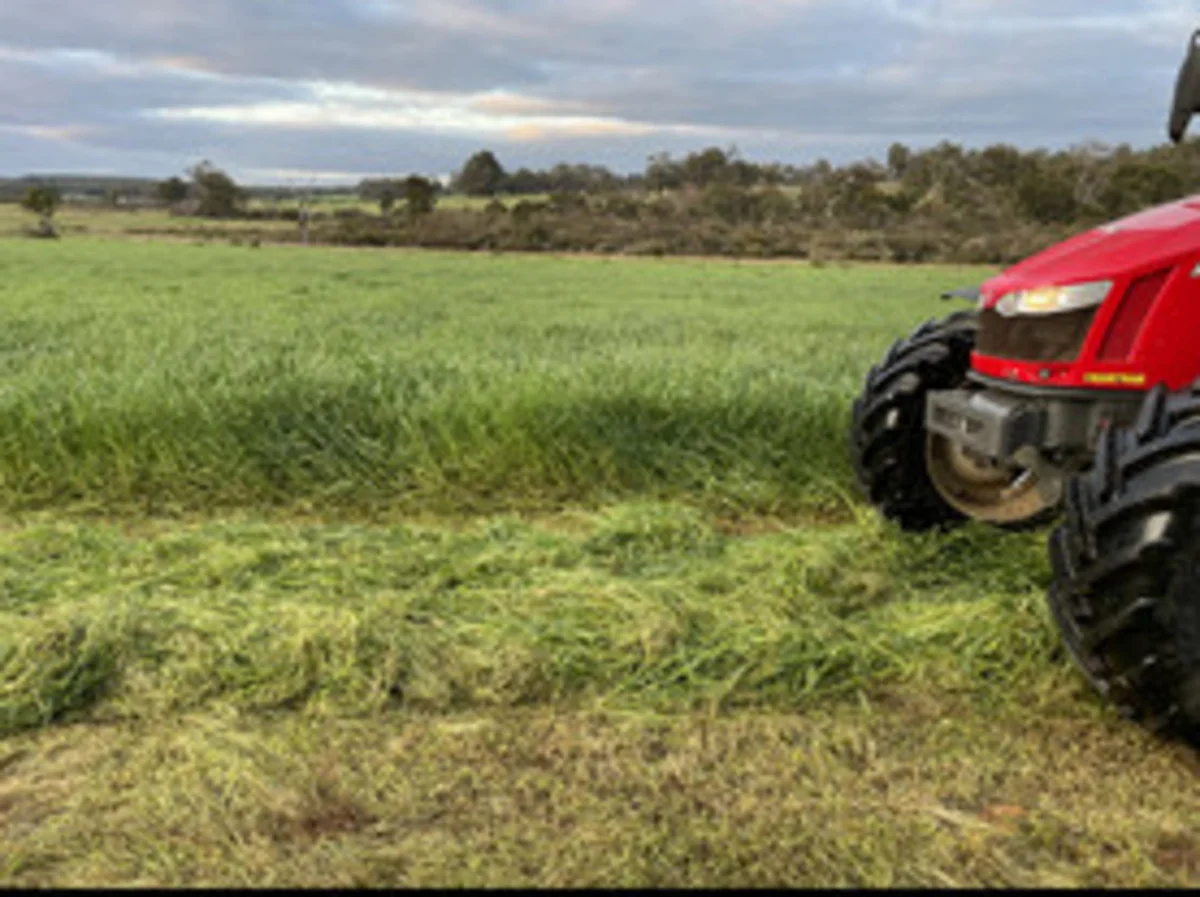 Additional image 4 of 1 Hopkins Road, Chapman Hill WA 6280