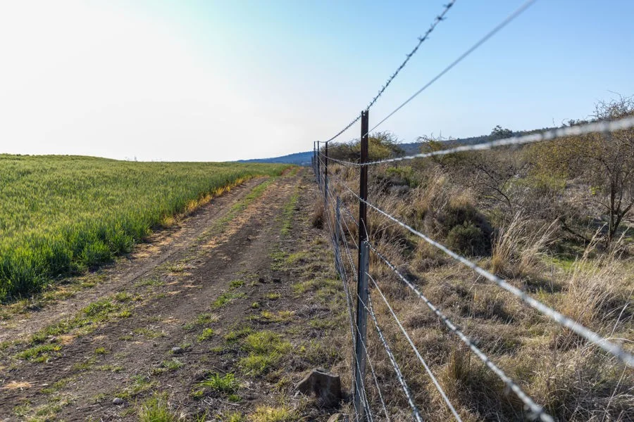 Additional image 8 of 11608 Gwydir Highway, Delungra NSW 2403