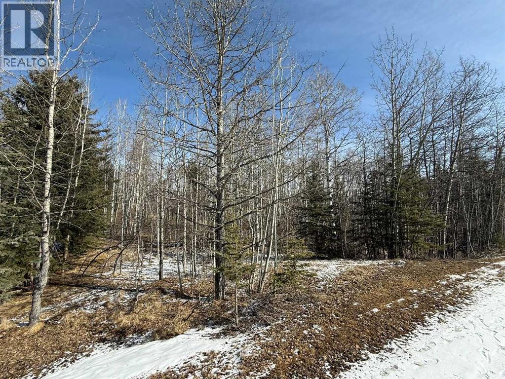 40, 29066 Range Road 52