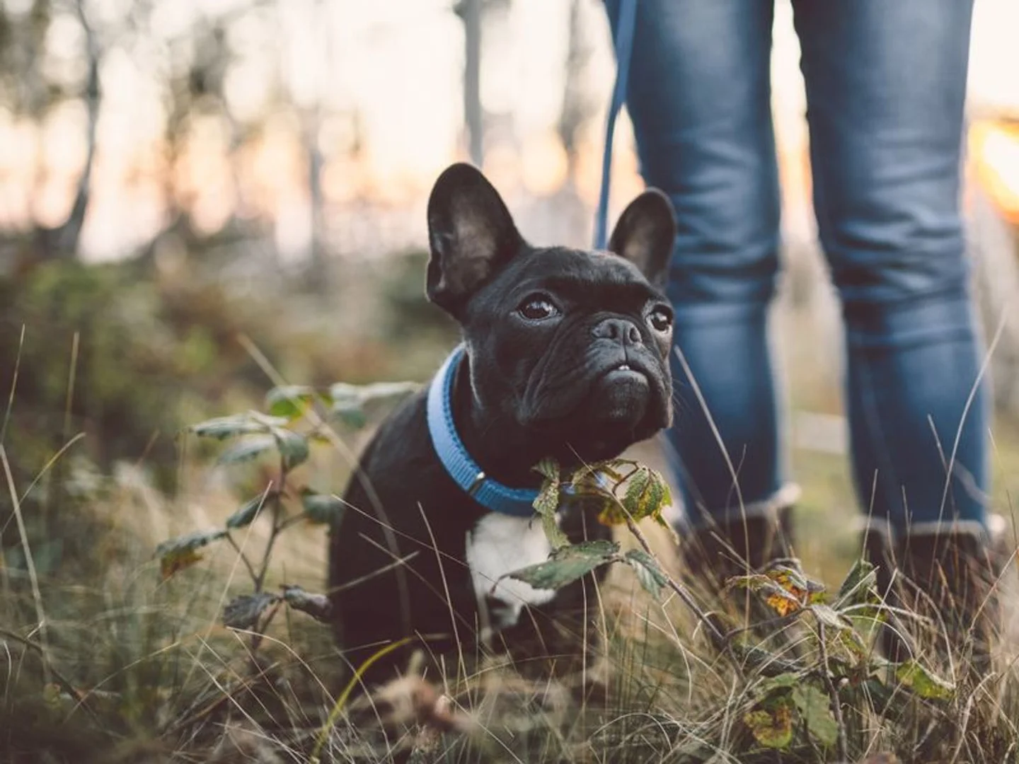 Additional image 12 of Lot 49 Borlaug Circuit, Baldivis WA 6171