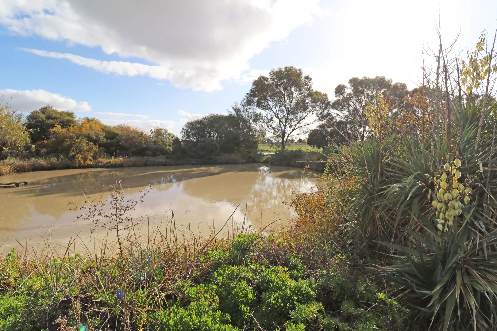 Additional image 16 of 131 West Road, Kerang VIC 3579