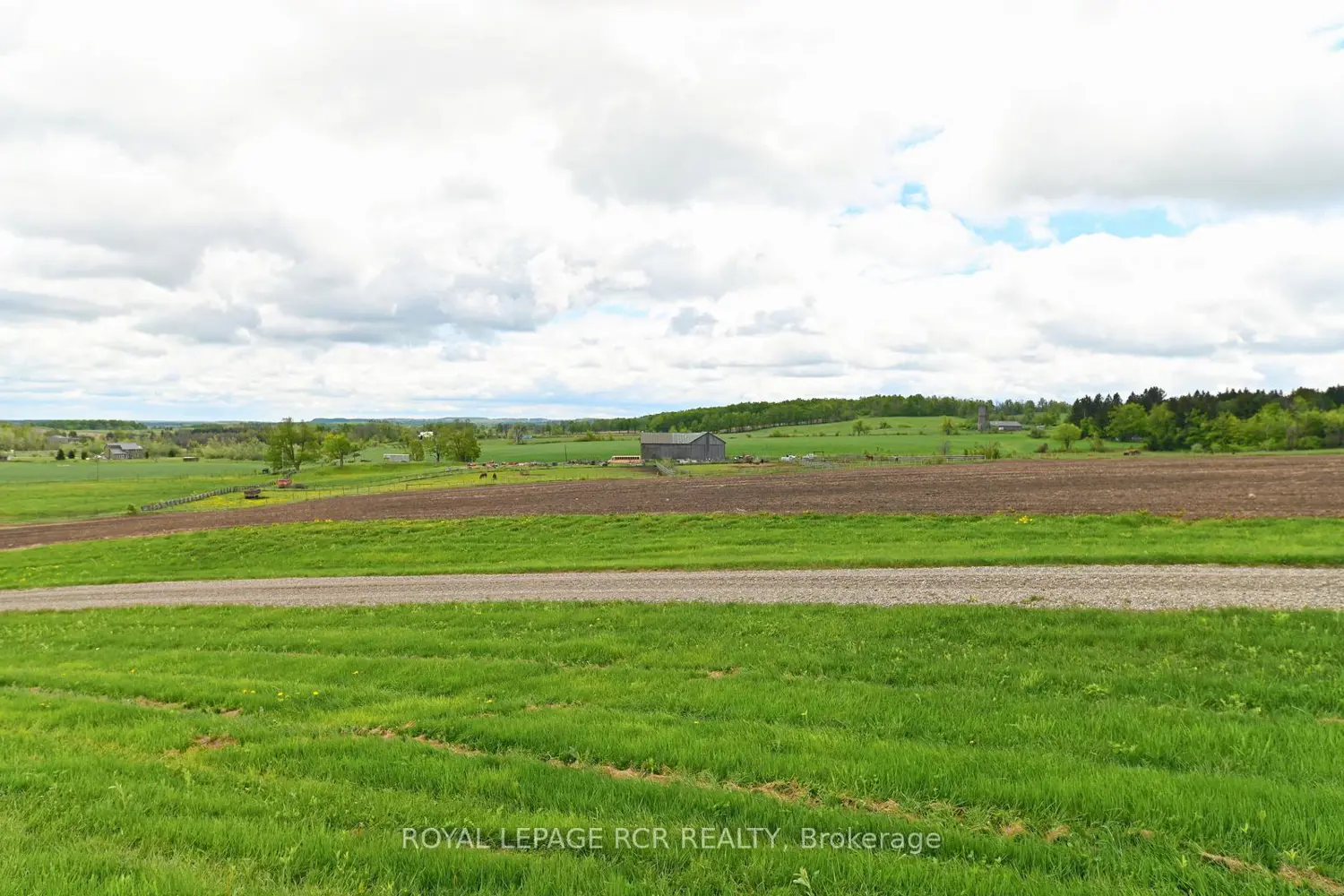 Additional image 12 of 716582 1St Line E H S