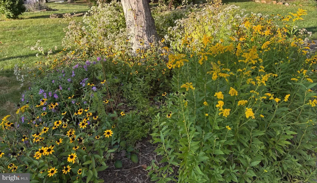 Additional image 44 of 105 Chapel Hill Drive, Newark, DE 19711