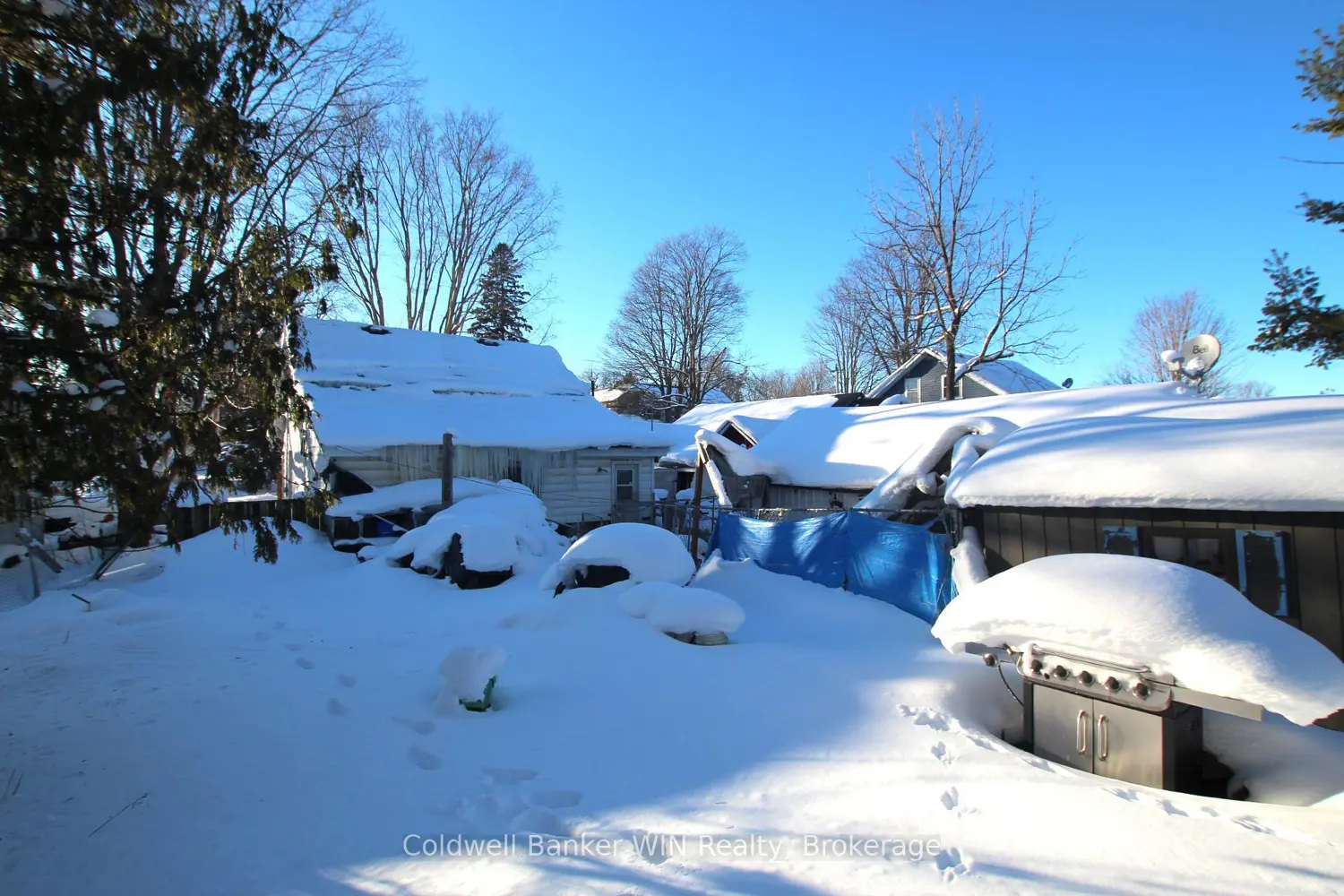 Additional image 5 of 283 Albert Street