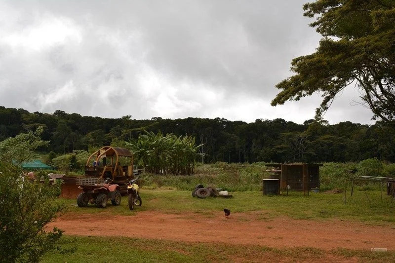 Additional image 9 of 920 East Evelyn Road, Evelyn QLD 4888