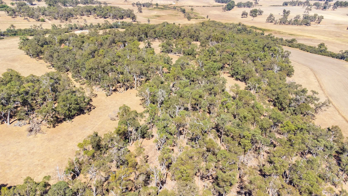 Additional image 41 of 1 Hopkins Road, Chapman Hill WA 6280