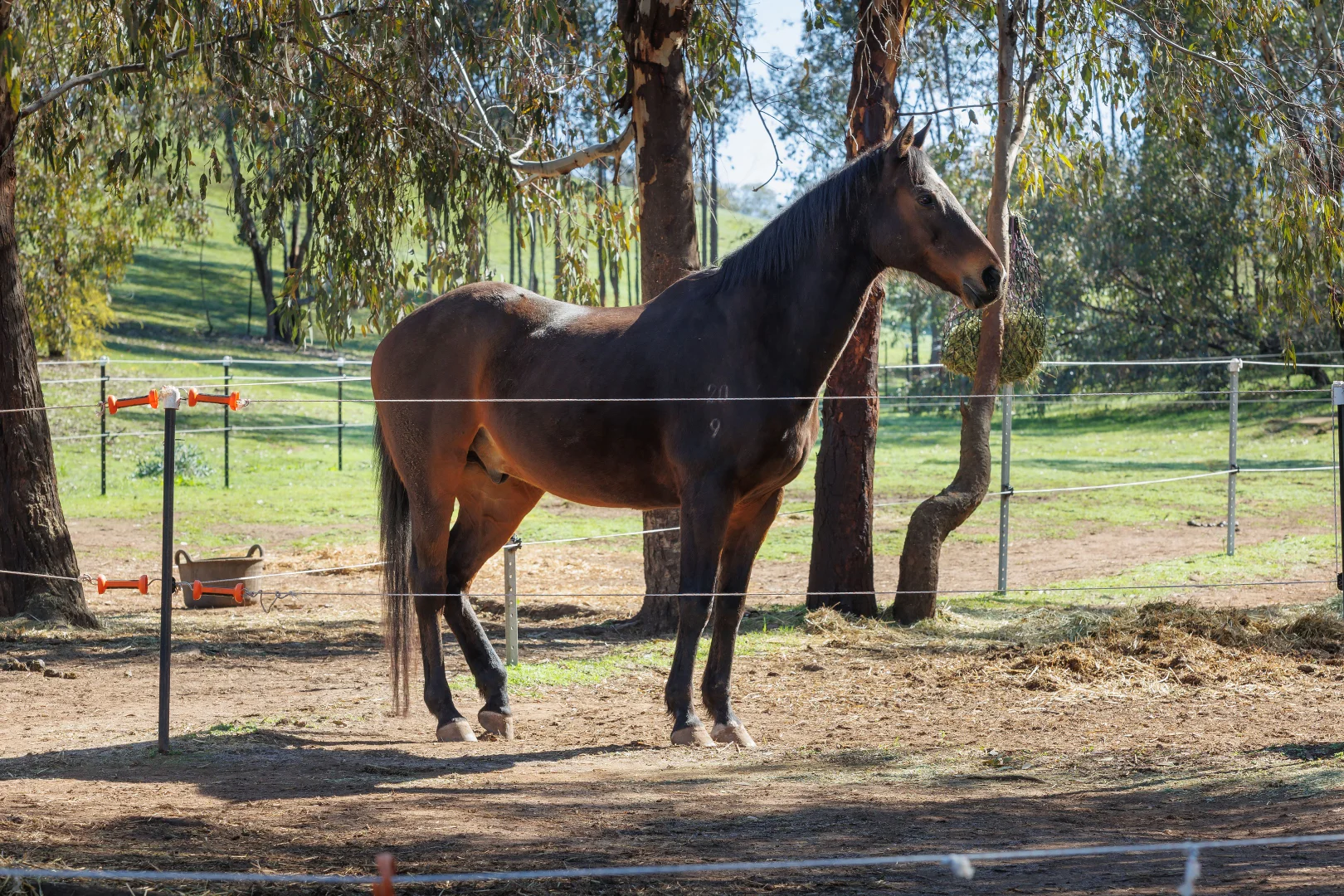 Additional image 15 of 13407 Hume Highway, Woomargama NSW 2644