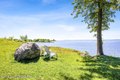 Additional image 37 of 645 Johnston Ter, Staten Island, NY, 10309