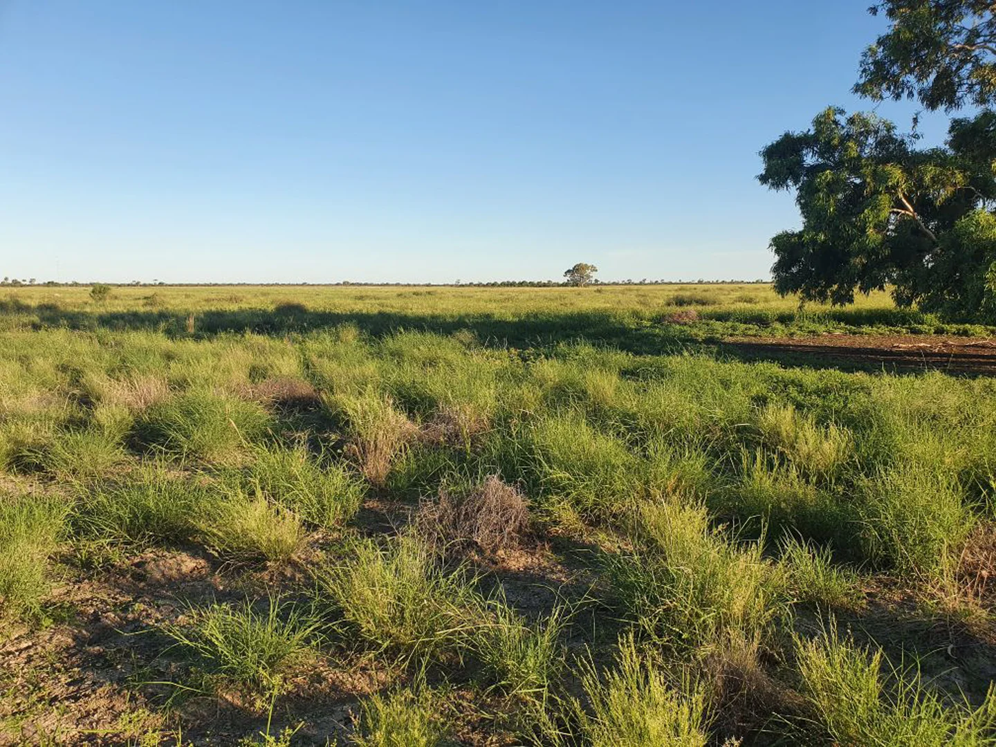 Additional image 14 of 1906 Burrawantie Road, Enngonia NSW 2840