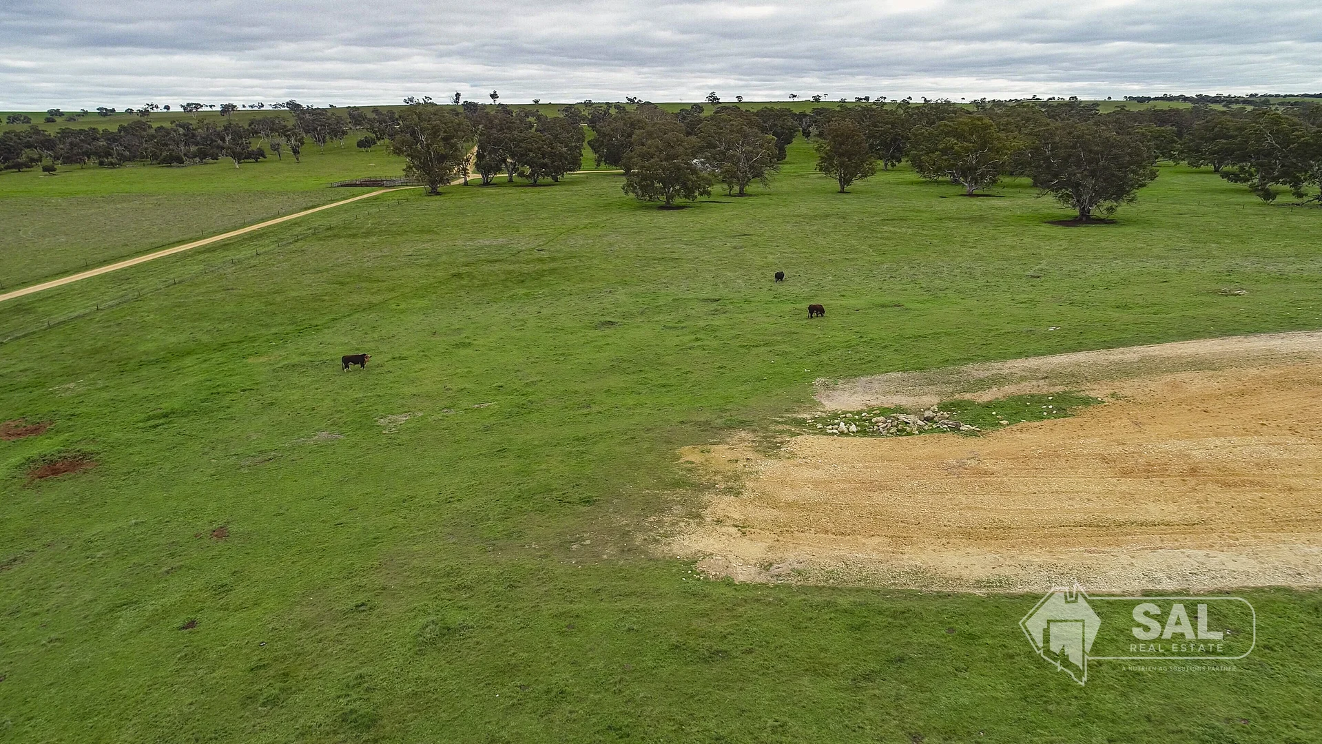 Additional image 41 of 678 Jones Road, Mundulla SA 5270