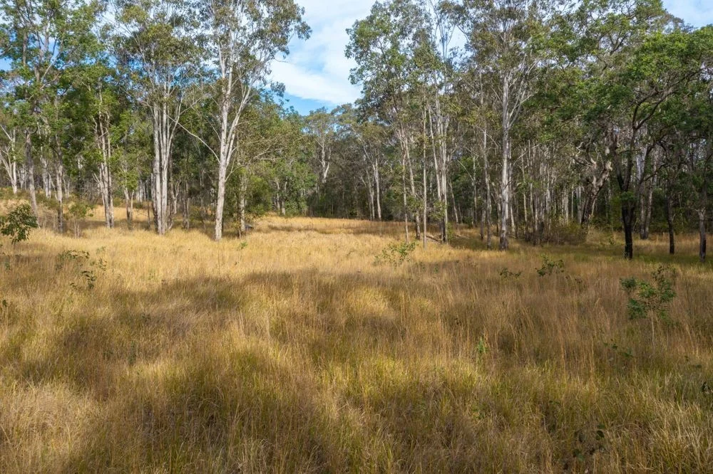 Additional image 27 of 1386 Willi Willi Road, Temagog NSW 2440