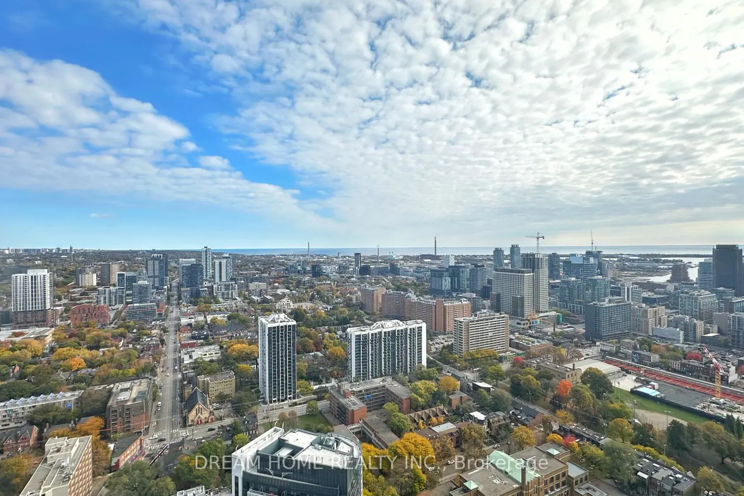 Additional image 10 of 251 Jarvis Street 4313