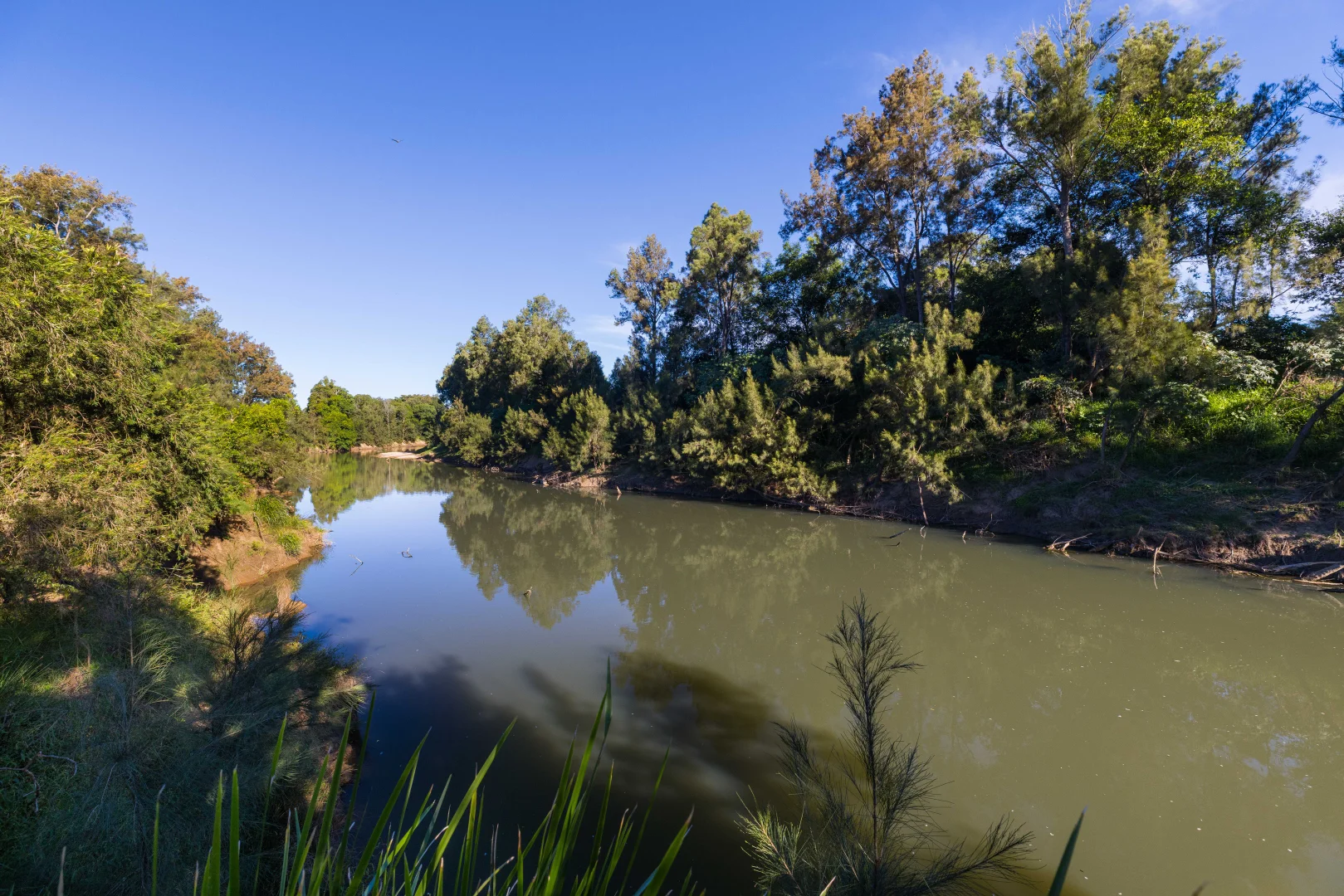 Additional image 2 of Lot 1/1197 Kenilworth - Skyring Creek Road, Tuchekoi QLD 4570