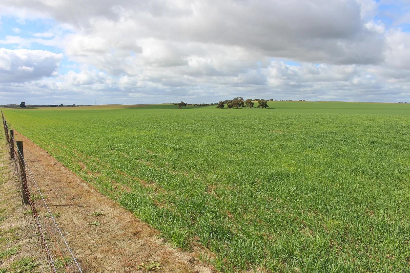 Additional image 19 of 9653 Dukes Highway, Tintinara SA 5266