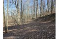 Additional image 9 of Timber Dr Lot 10, Cochecton, NY, 12726