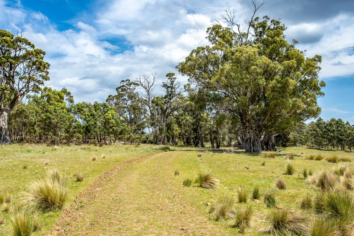 Additional image 14 of 2/10923 Tasman Highway, Little Swanport TAS 7190
