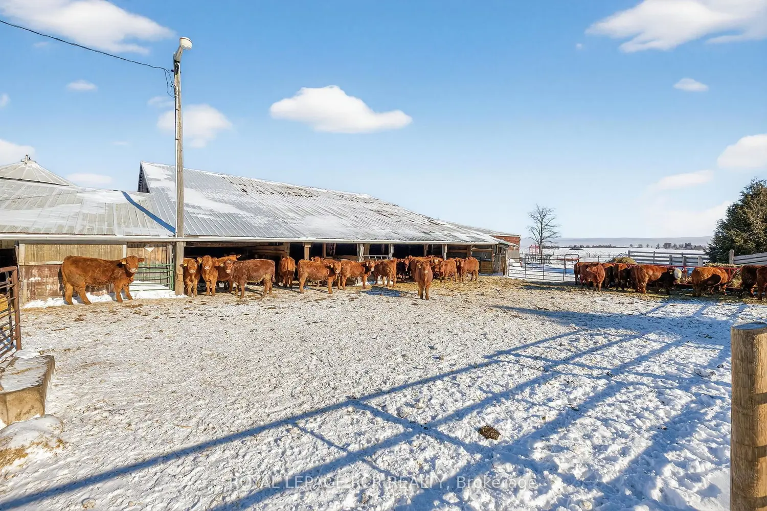 285277 County Road 10 Road photo 4