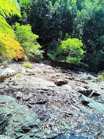 Additional image 2 of 11551 Kennedy Hwy, Evelyn QLD 4888